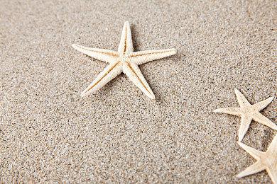 B站游戏年度榜单：魂系重启作品《堕落之主》中字预告